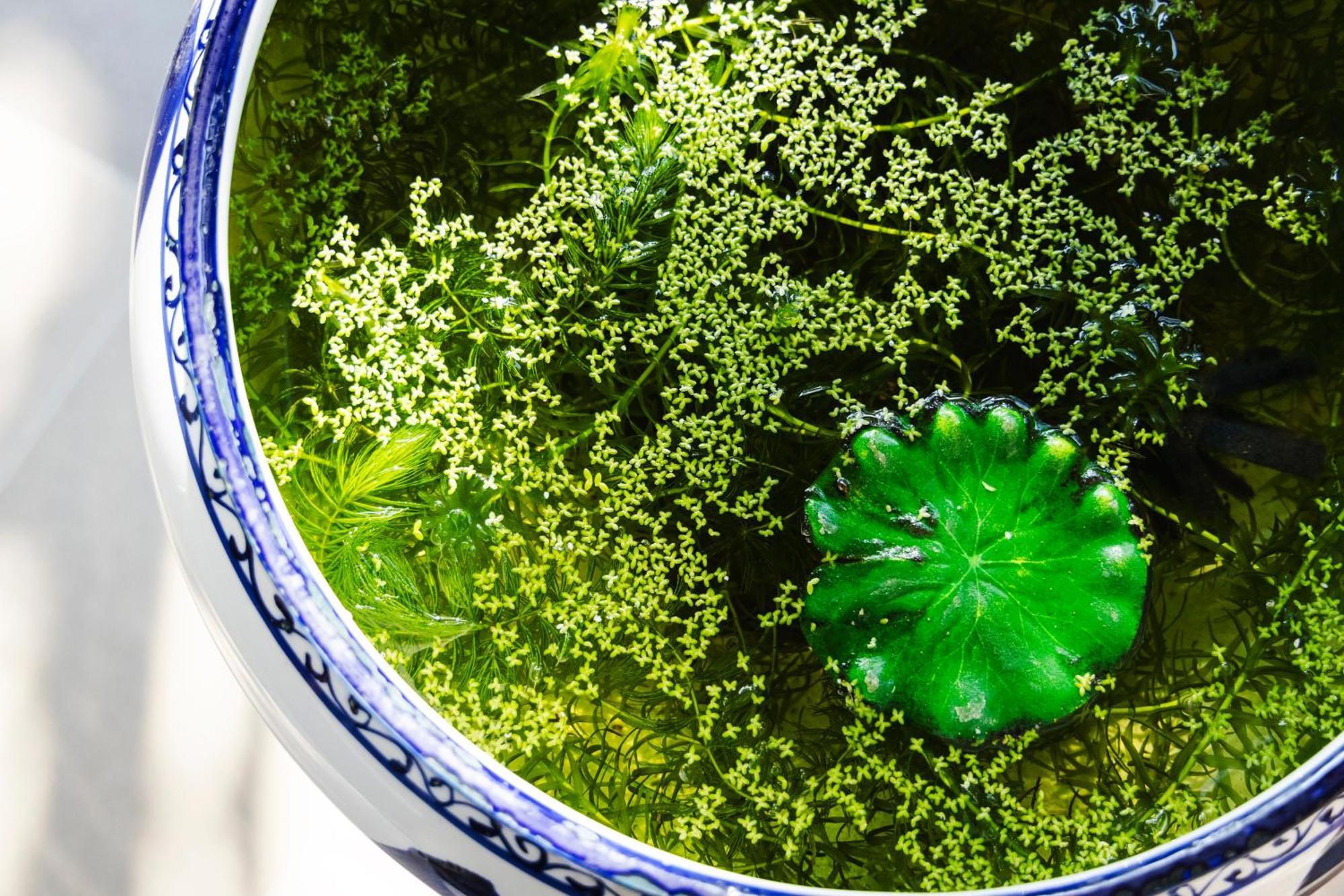 Ryokan Marumo Tottori Dış mekan fotoğraf